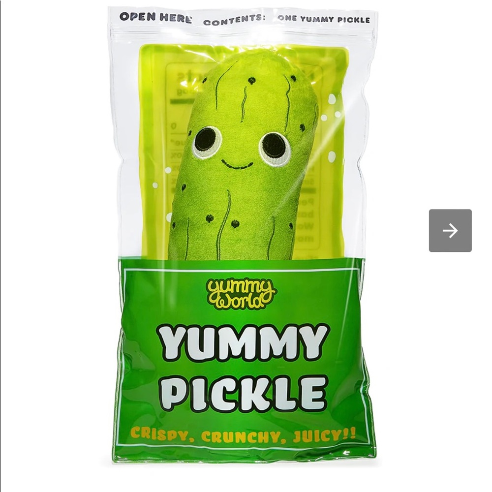 Kid Robot pickle
